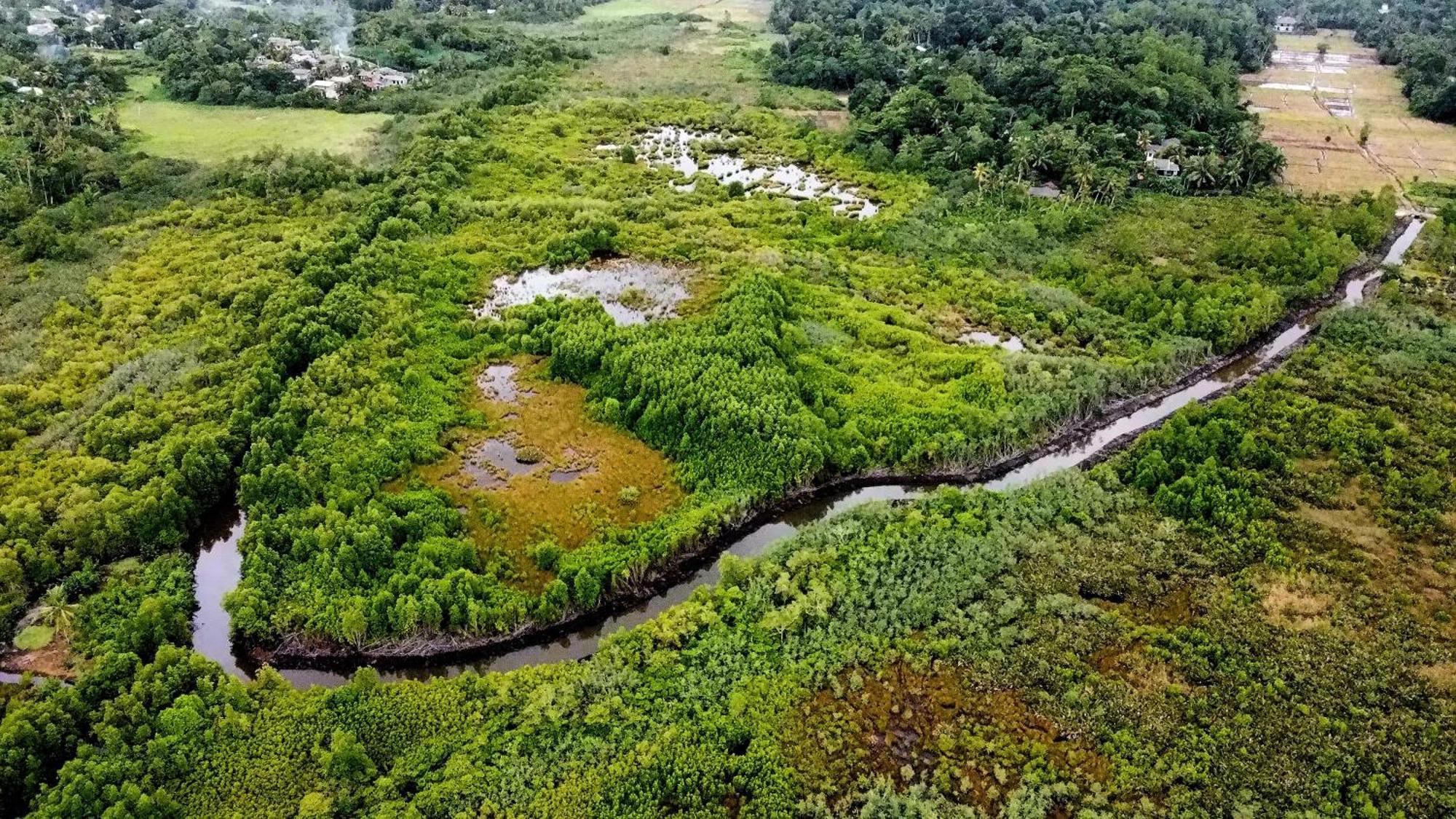 Blue Berry Villa Хіккадува Екстер'єр фото